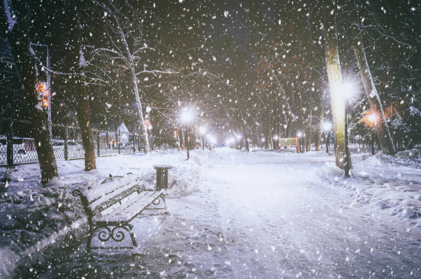 istock Snowfall in a winter park at night with glowing lanterns, pavement covered with snow and trees. Vintage film aesthetic. 2151890614