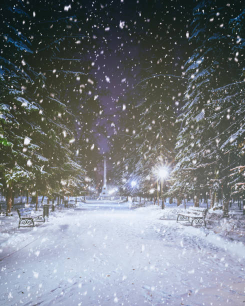 istock Snowfall in a winter park at night with glowing lanterns, pavement covered with snow and trees. Vintage film aesthetic. 2151890618