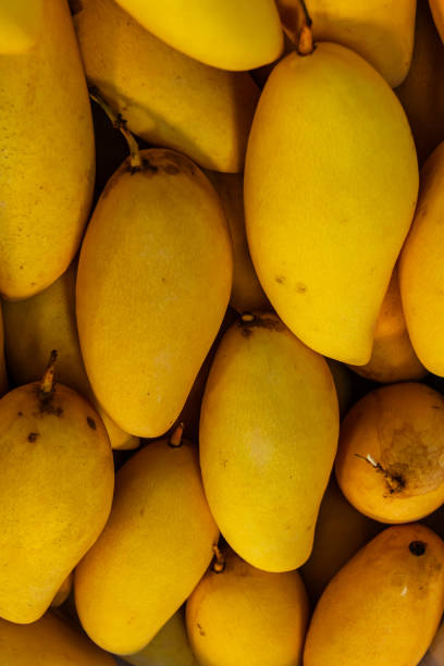 istock Basket with mangoes at the fruit market 2151891191