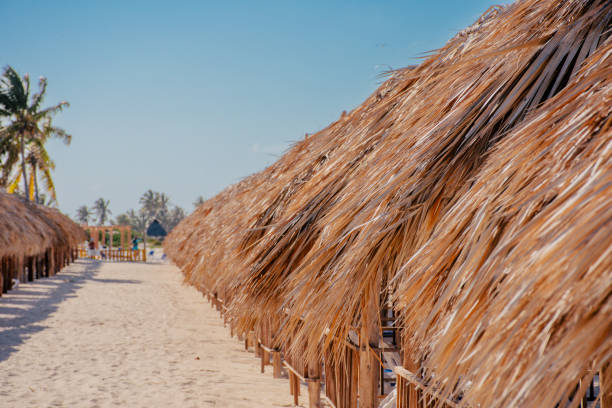 a thatch-roof on white background