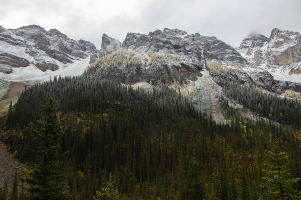 istock Mountain of pine trees in autumn time. 2151894908