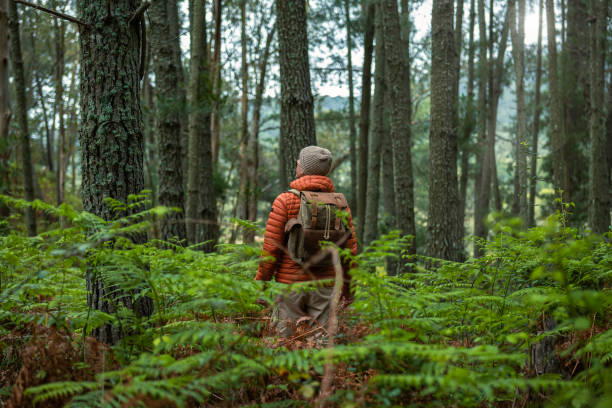 istock Middle-aged Caucasian man with backpack facing the forest, love for nature and sustainability. Shot from behind 2151898566