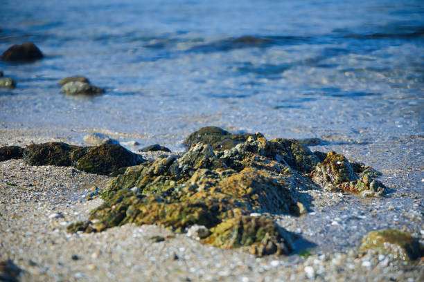Clear blue sea with rocky tide pools
