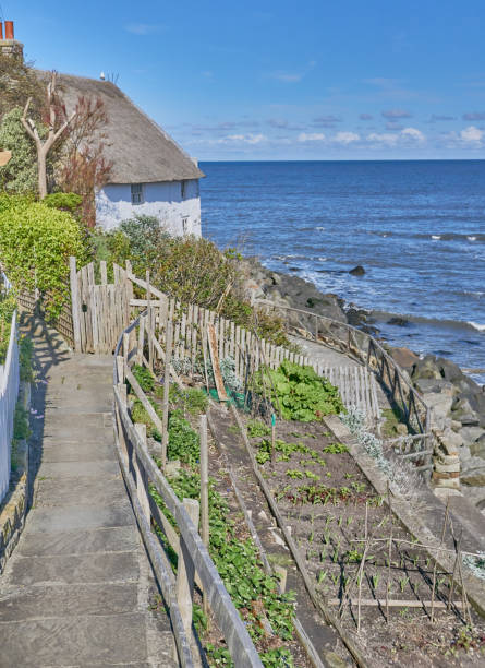 istock Vegetable garden on the Yorkshire coast 2151909474