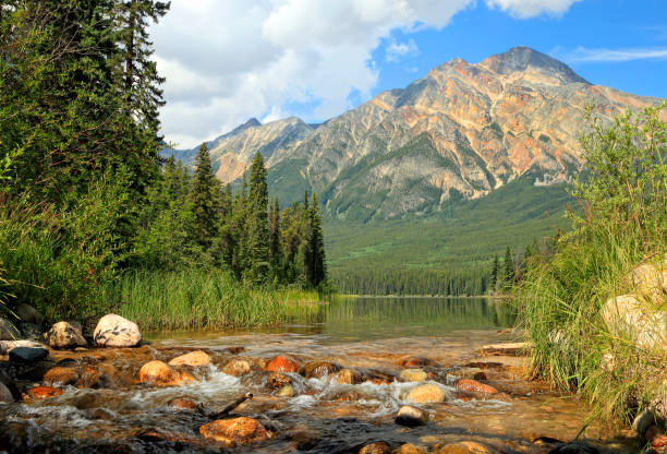 istock Wild canadian summering landscape 2151910838