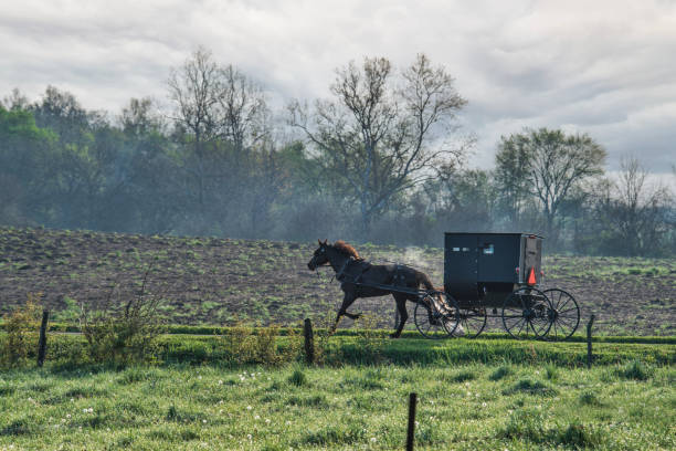 istock Cold Morning for Horse and Buggy 2151914200