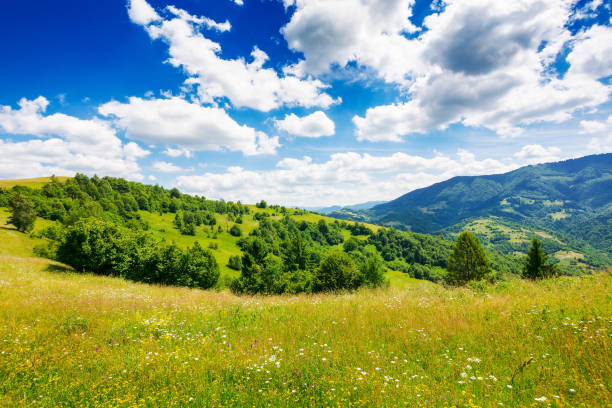 istock carpathian countryside with grassy meadows 2151915188