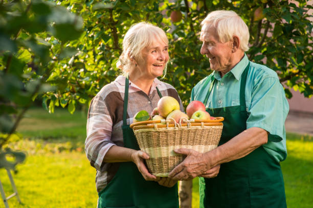 istock Old couple holding apple basket. 2151916922