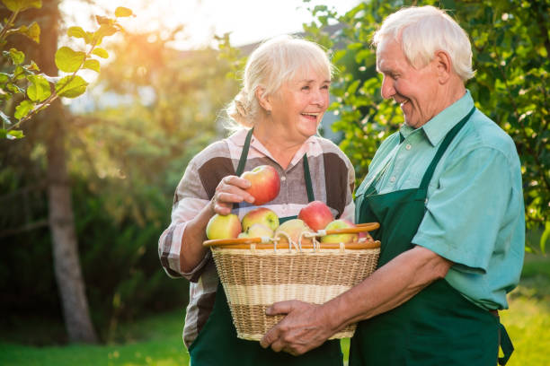 istock Old couple and apple basket. 2151918043