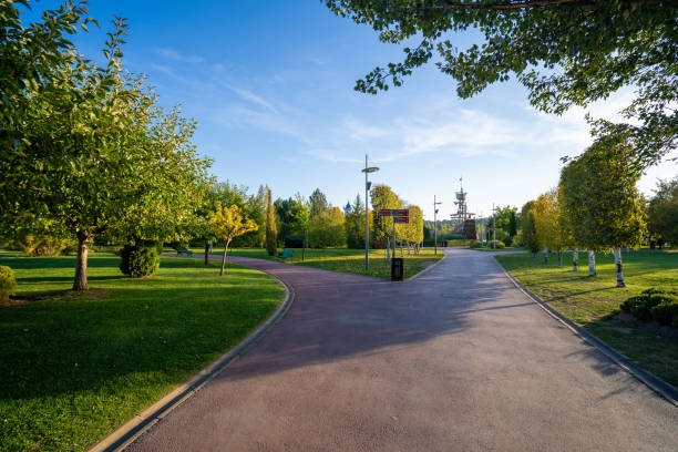 Trees in Eskisehir Sazova Park.
