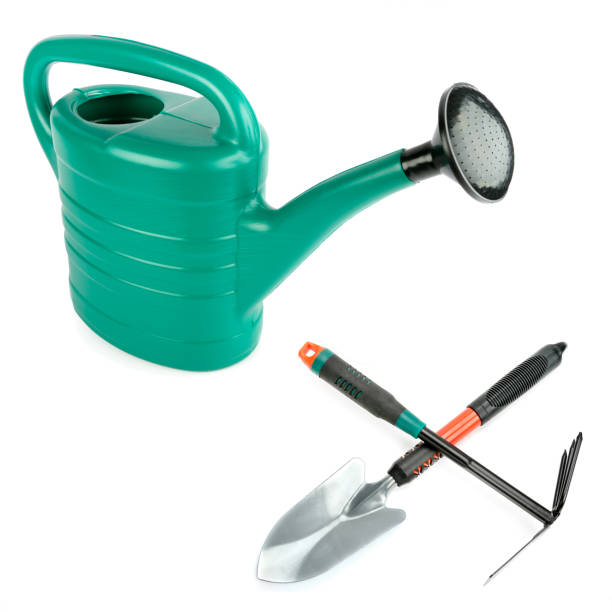 istock Garden tools, shovels, watering can and rake isolated on white . Free space for text. Collage. Vertical photo. 2151921614