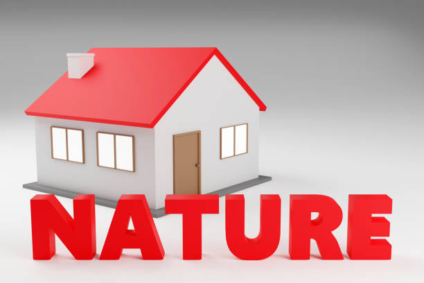istock Luxury red inscription nature on grey podium, soft light, smooth background, 3d rendering 2151924600
