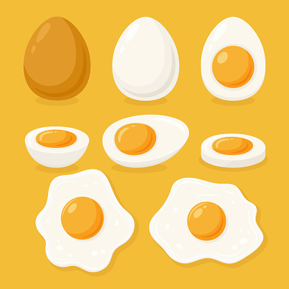 Vector Fried Egg, Sunny-Side-Up and Hard Boiled Egg Set, Closeup, Isolated. Healthy Breakfast, Protein Food Clipart. Whole and Sliced Egg Design Templates.