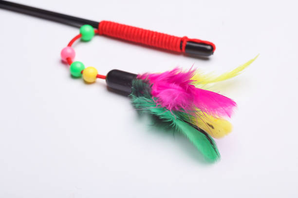 istock Stick with feathers on a white background. Cat toy 2151926886