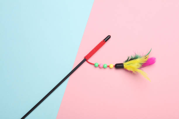 istock Stick with feathers on pink blue background. Cat toy 2151926920