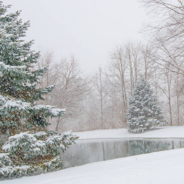 istock Small lake in the snow-Howard County, Indiana 2151928101