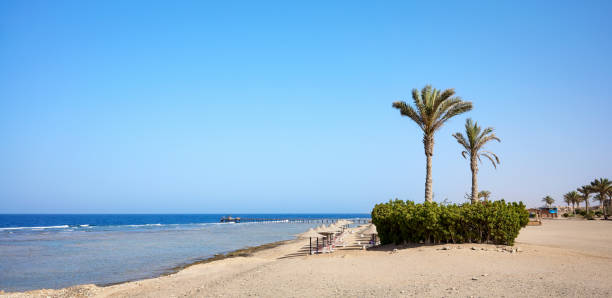 istock Beautiful beach, Marsa Alam region, Egypt. 2151928381