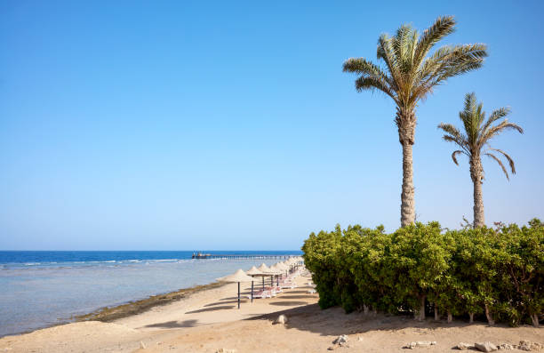 istock Beautiful sandy beach, Marsa Alam region, Egypt. 2151928399