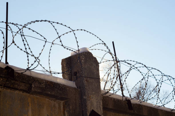 istock Barbed wire on the prison fence. A closed prison. Security concept. Forbidden territory. 2151931914
