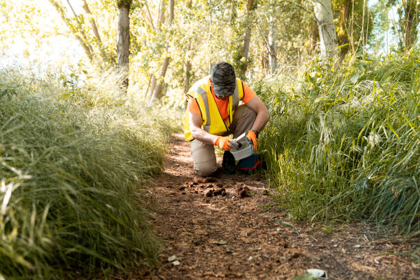 istock An environmental scientist collecting excrement samples from a wild animal. 2151931961