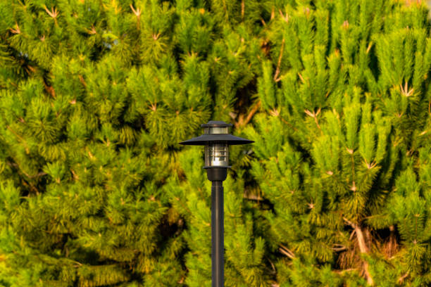 Lighting pole in front of the trees. Tree fence and lamp