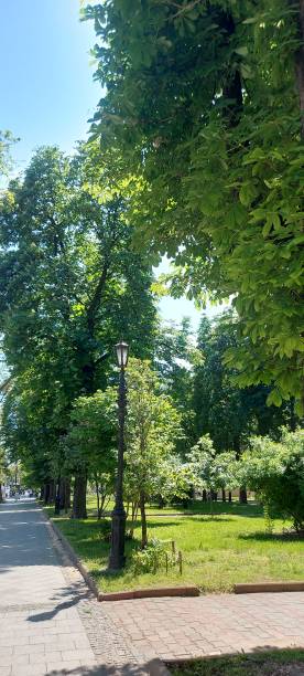 istock Nature in the town 2151935916