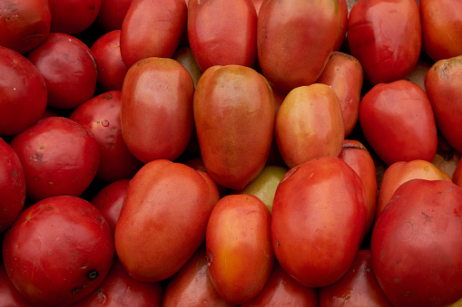 close-up many organic roma tomatoes piled up in a greengrocer's shop. Argentina