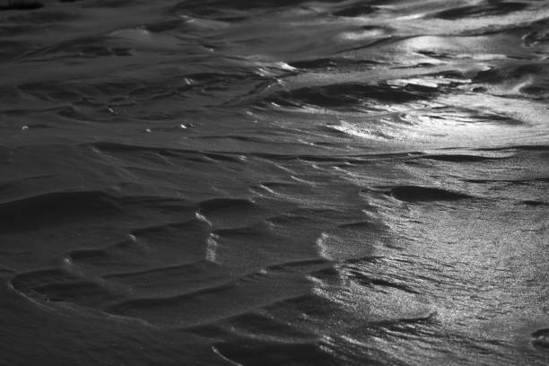 black and white background photos with snow covered ground pattern