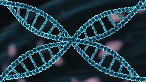 istock DNA helix. Butterfly dna 2151939290