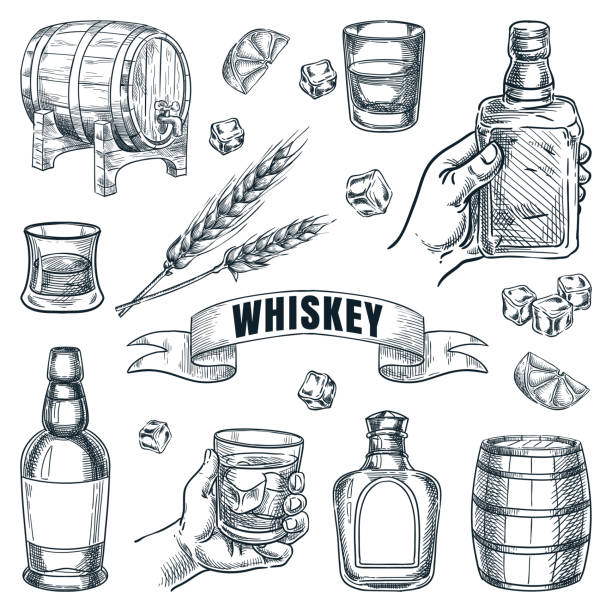 láhev whisky, sudy, skleněná vektorová ručně kreslená skica. designové prvky pro hospodu, bar, nápojový lístek - whiskey stock ilustrace