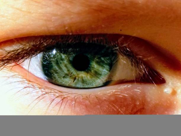 Beautiful blue eye