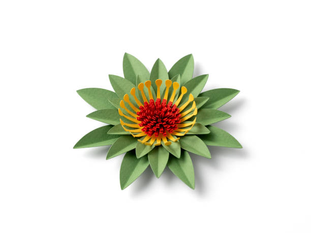istock Handmade green paper flower on white background 2151941749