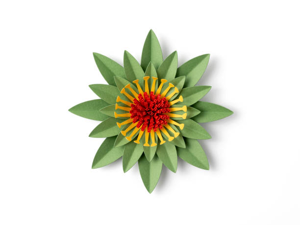 istock Handmade green paper flower on white background 2151941804