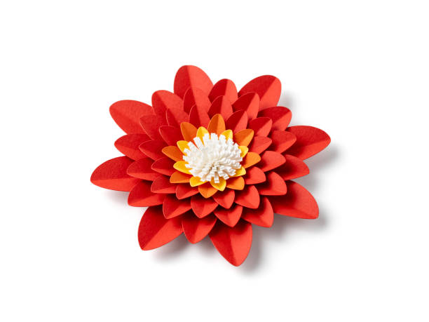 istock Handmade orange paper flower on white background 2151942418