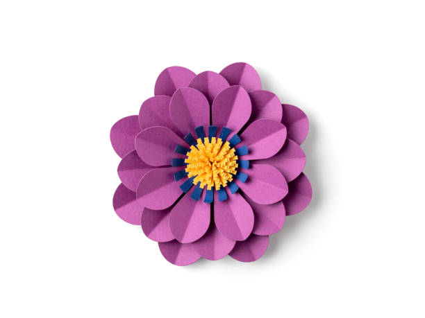istock Handmade purple paper flower on white background 2151942495