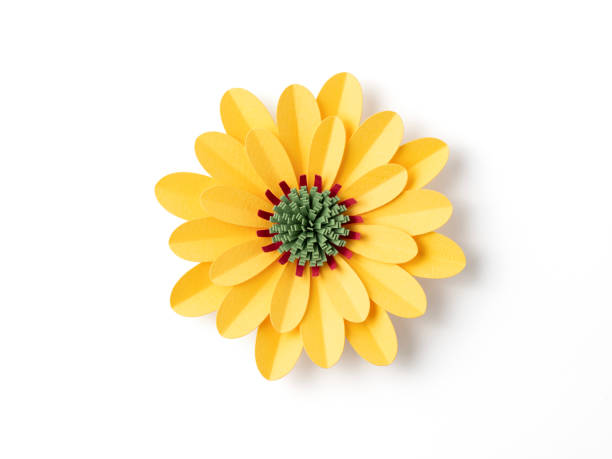istock Handmade purple yellow flower on white background 2151942528