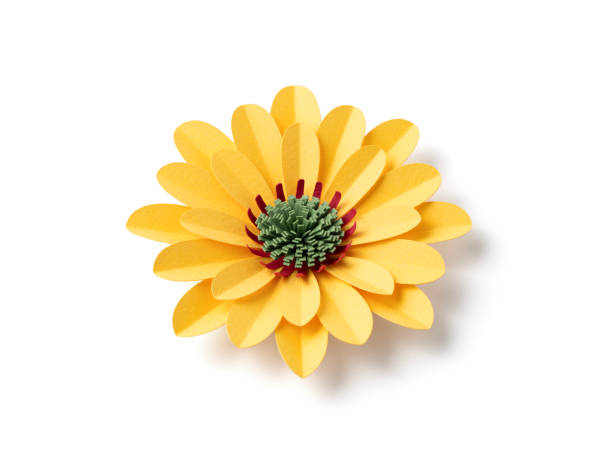 istock Handmade purple yellow flower on white background 2151942558