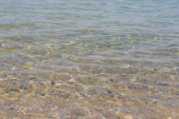 Sand sea bottom rippled with small waves