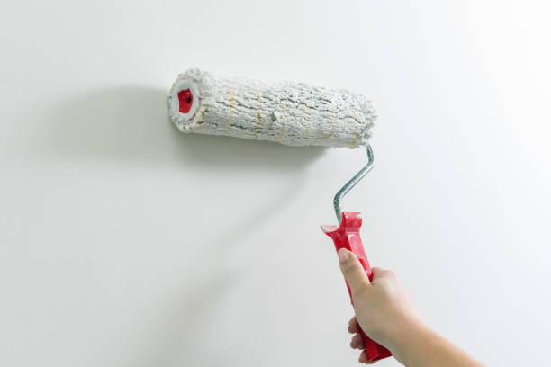 istock A woman's hand paints a wall white with a paint roller 2151948974