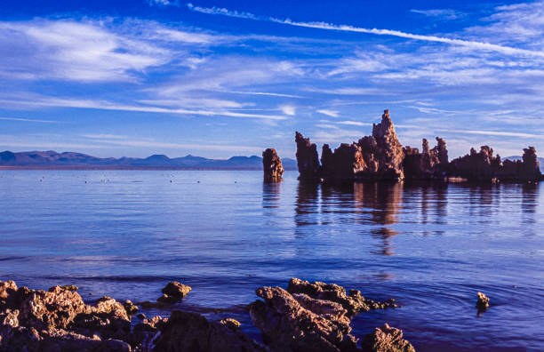 Tufa formation along the bank of Mono Lake. Tufa is a variety of limestone formed when carbonate minerals precipitate out of water in unheated rivers or lakes.Taken at Mono Lake, California, USA
