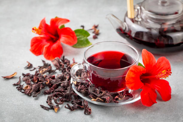 istock Hibiscus tea, flower and dry blossom 2151953851