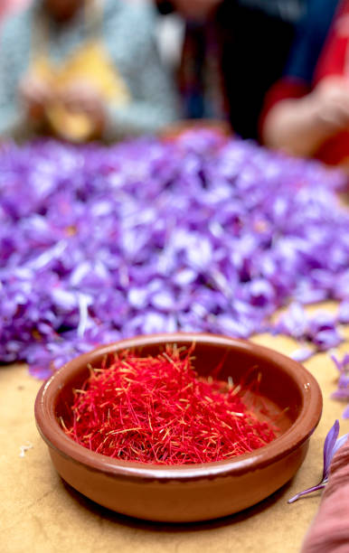 istock Spanish saffron plantation, saffron container with saffron and saffron petals 2151953942