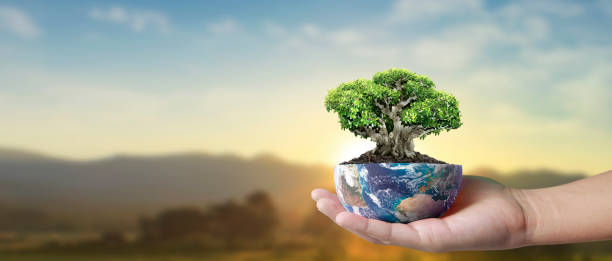 istock Globe ,earth in human hand, holding. Earth image provided by Nasa 2151956280