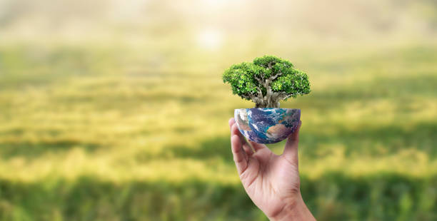 istock Globe ,earth in human hand, holding. Earth image provided by Nasa 2151956284