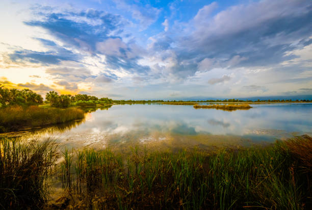 Fresh water Lighthouse Pool at St. Marks National Wildlfie Refuge