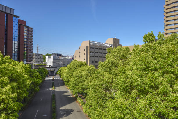 istock Tree line and cityscape. Tama, Tokyo. 2151959904
