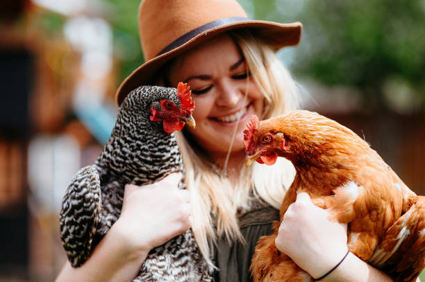 istock Smiling woman holds two chickens 2151960401