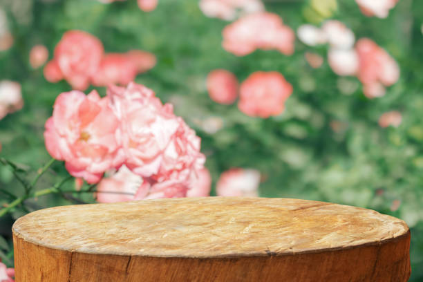 istock Empty old tree stump table top with blur rose garden background for product display 2151960483
