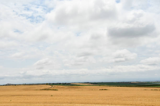 field and blue sky, photo as a background, digital image