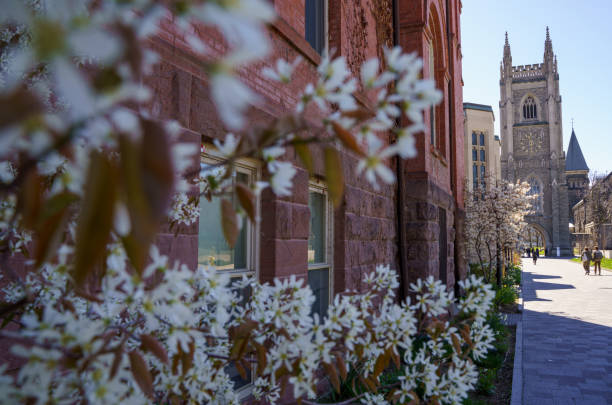 Toronto, Canada -April 26, 2024: The campus of the University of Toronto is full of flowers and students walking everywhere in spring